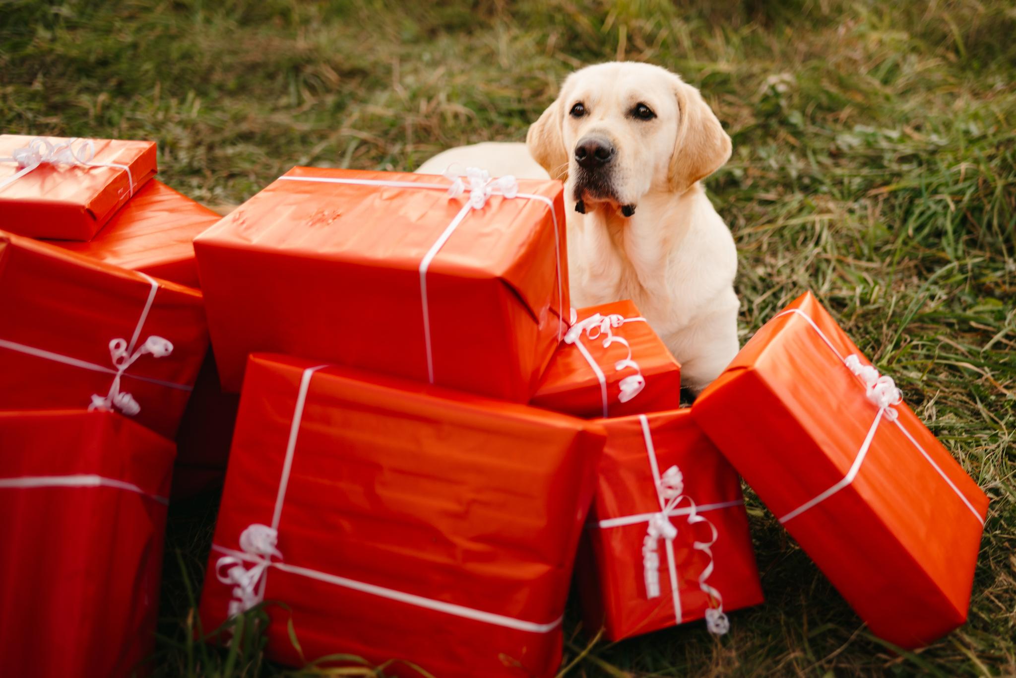 Shop Local: Birthday Gift Ideas for Your Girlfriend or Wife in Kitchener-Waterloo