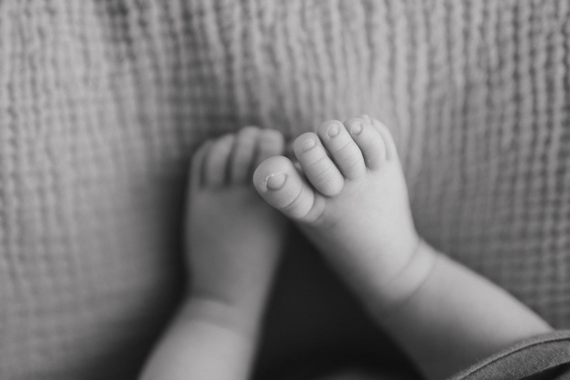 carousel-hero-element image-2